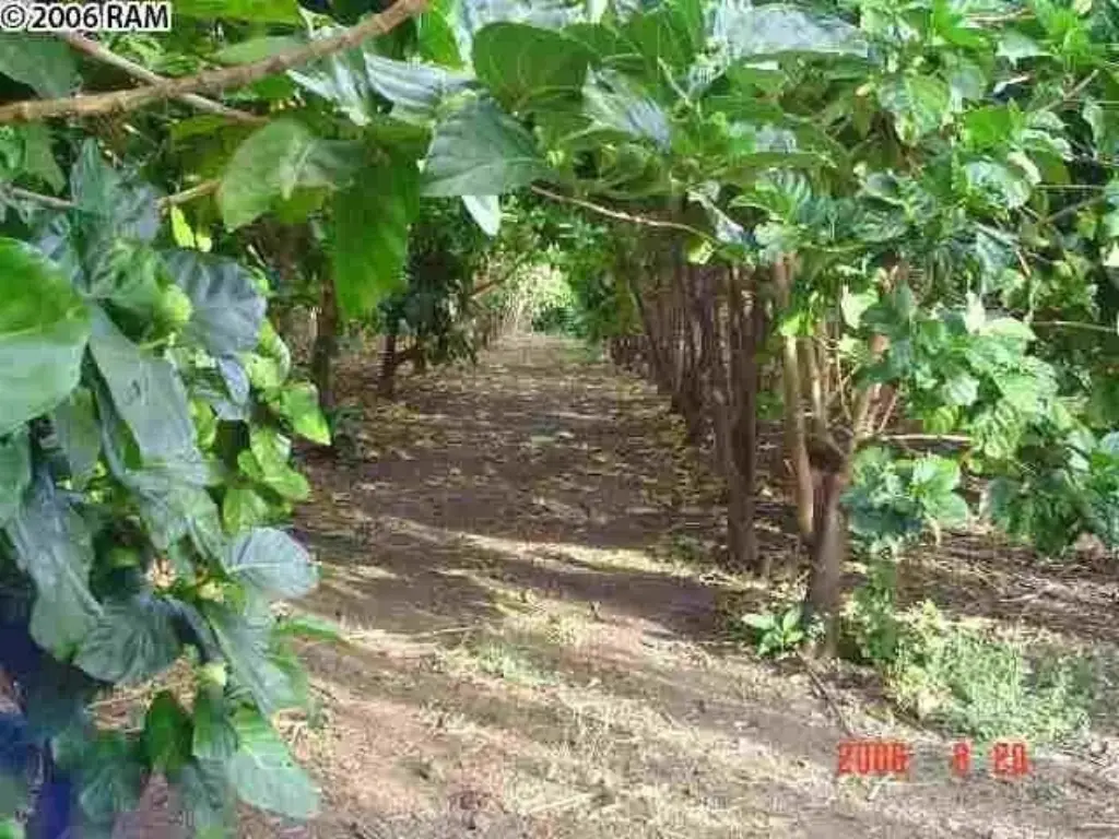 Picture 9