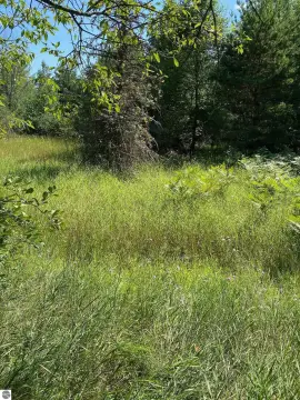 Wooded Land Near Fife Lake