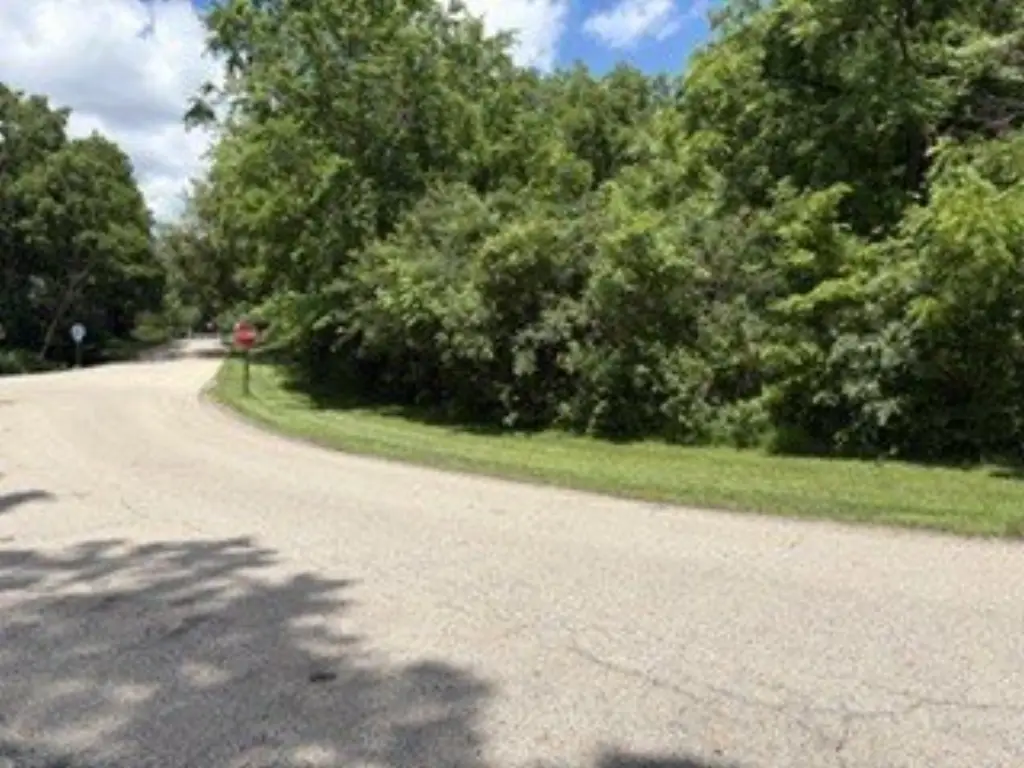 Picture 4