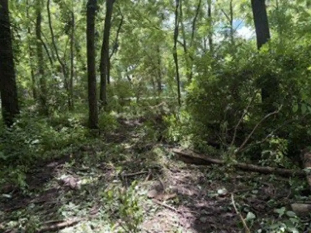 Picture 3