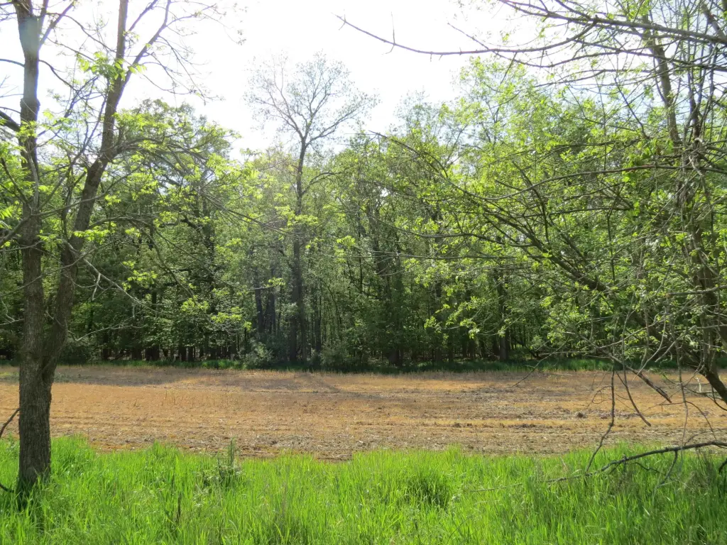 Picture 18