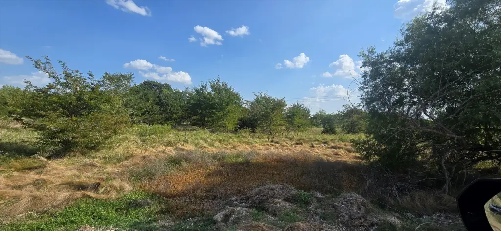 Picture 20