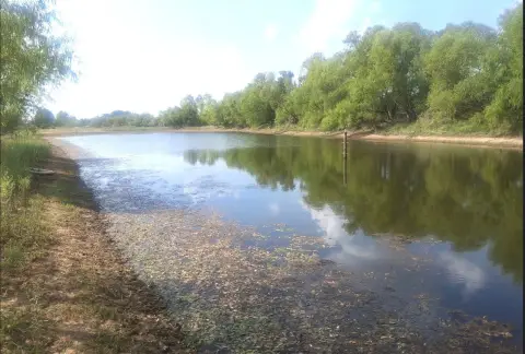 Fenced Agricultural Land with Lake