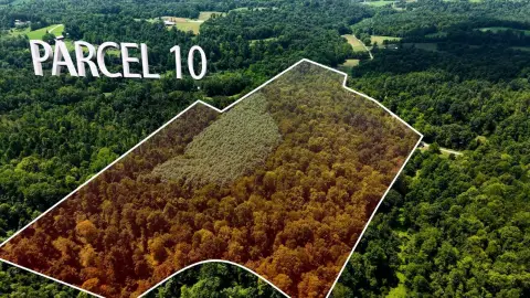 46.3 Acres Vacant Land For Sale