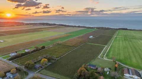 30 Acres Agricultural Reserve Vineyard