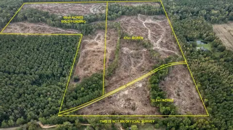 47 Acres in Puckett District