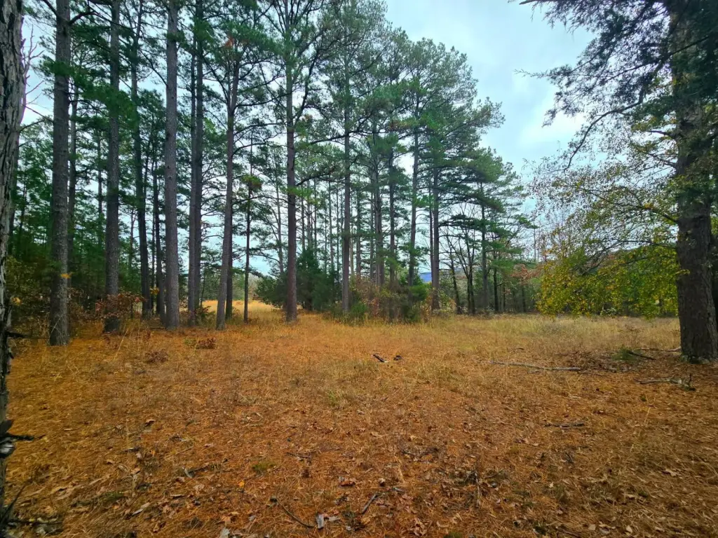 Picture 9