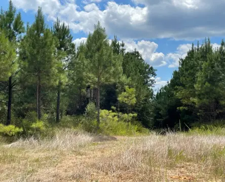 Grenada, MS Vacant Land