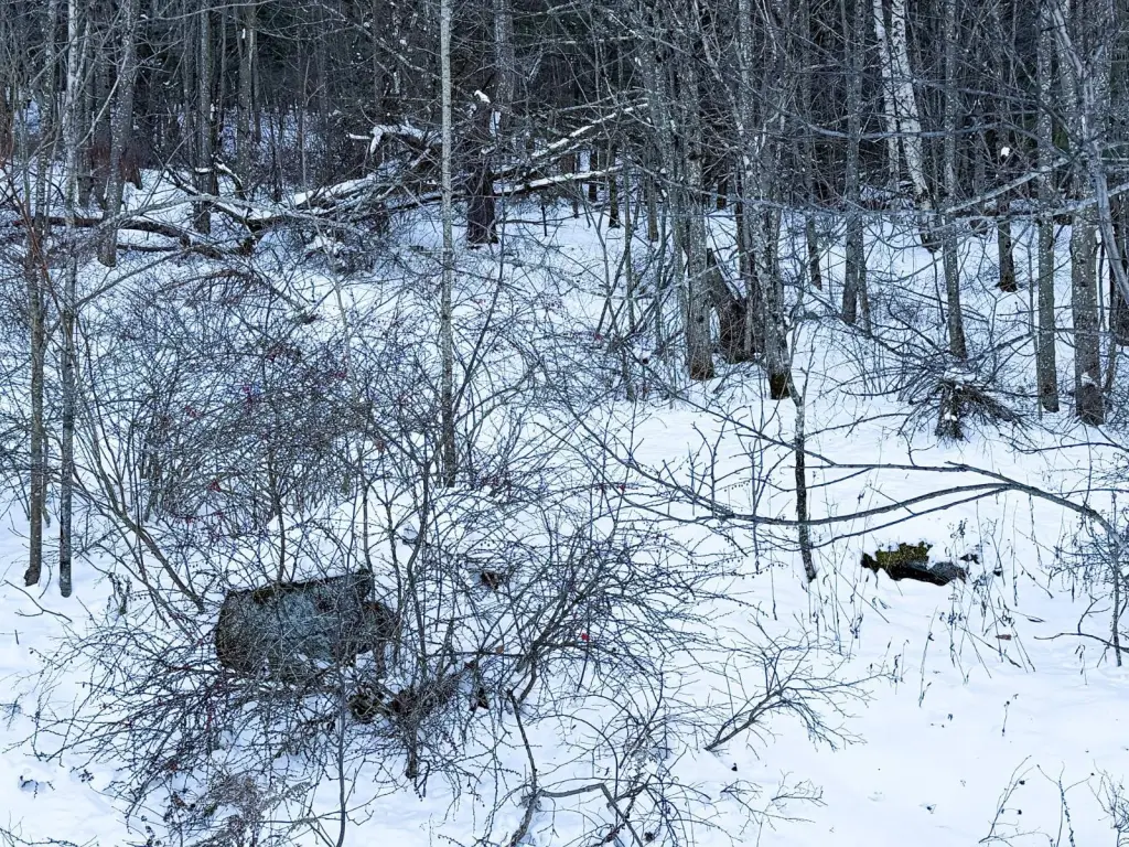 Picture 4