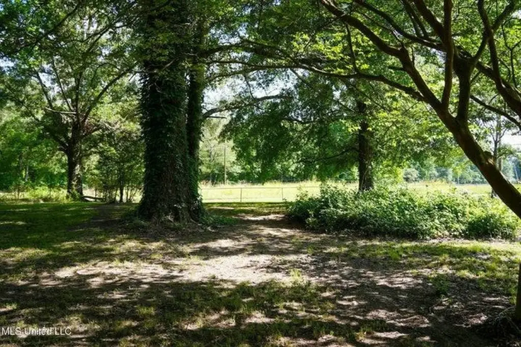 Picture 20