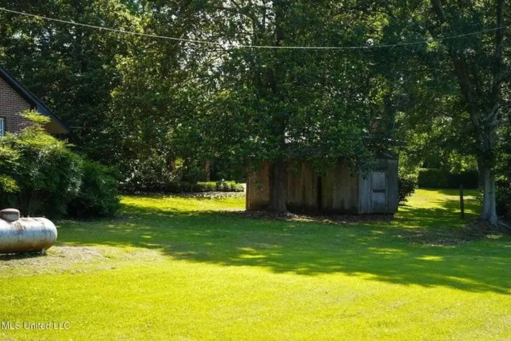 Picture 28