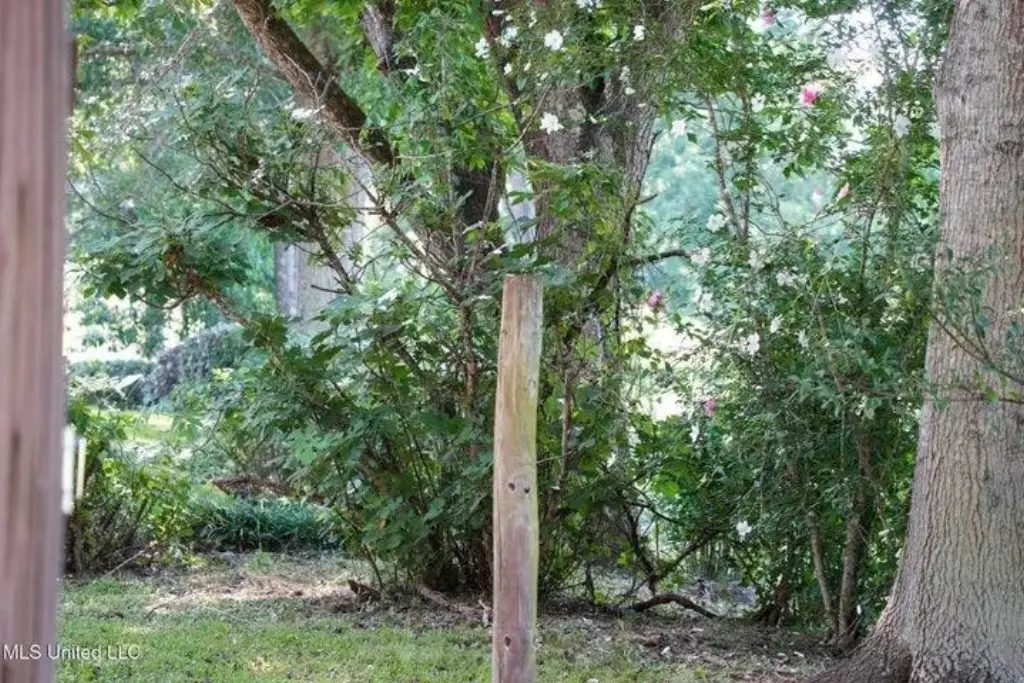Picture 31