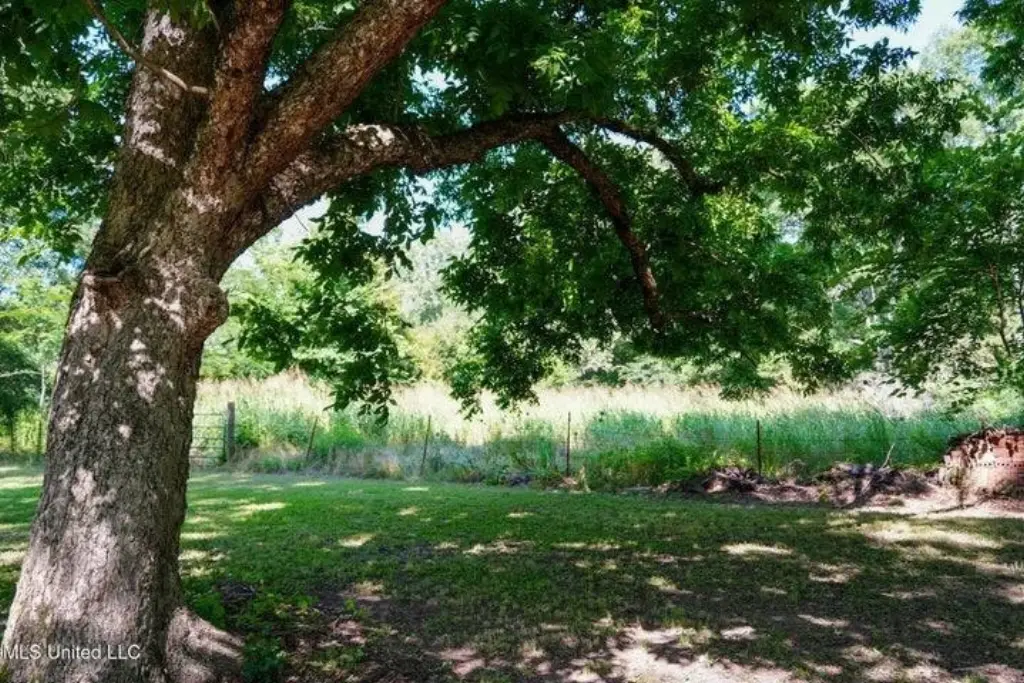 Picture 21