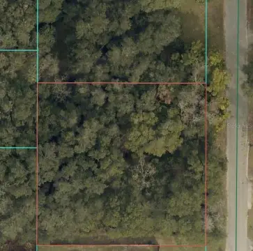 Residential Land in Summerfield, FL