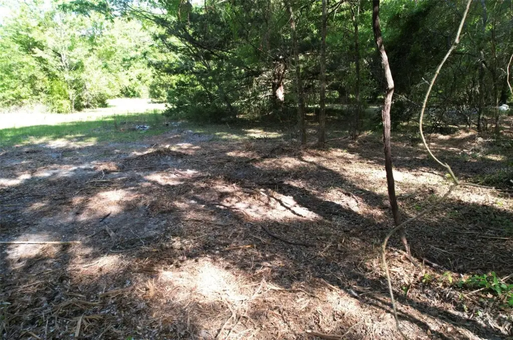 Picture 12