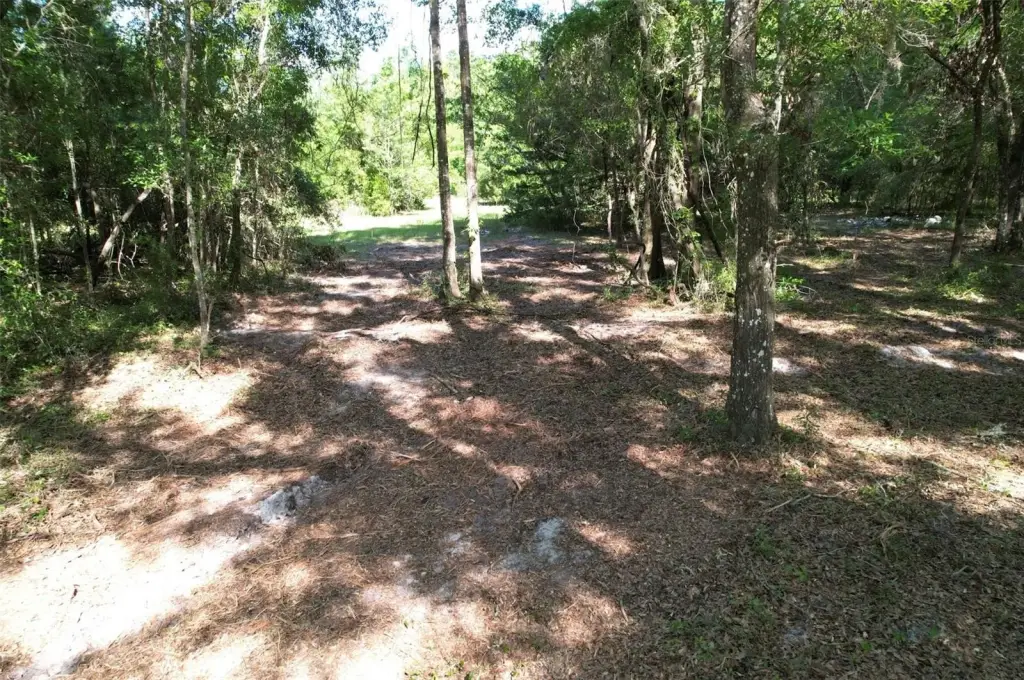 Picture 9