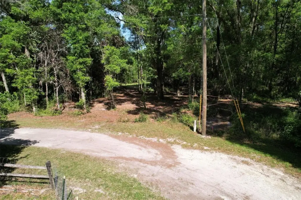 Picture 7