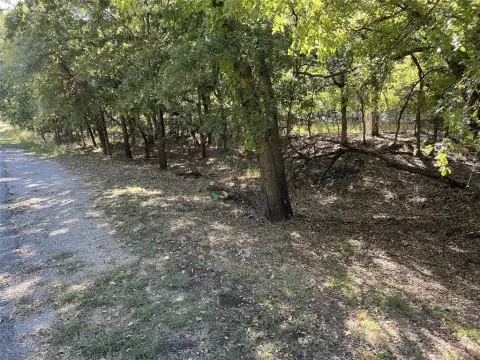 Lake Brownwood Unimproved Land Lots