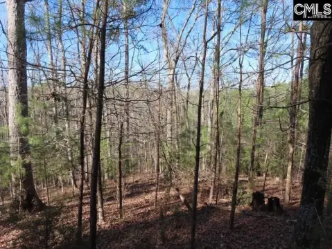 Wooded Acreage in Fairfield County