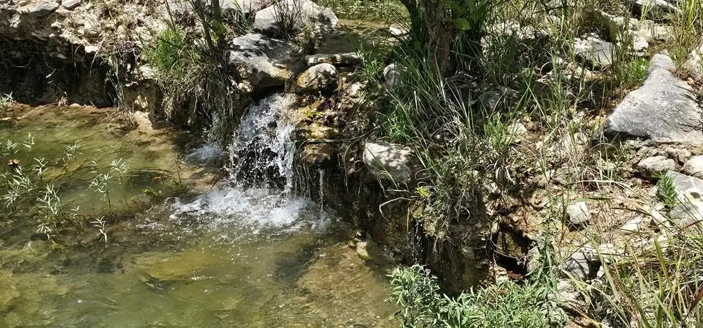 Picture 2