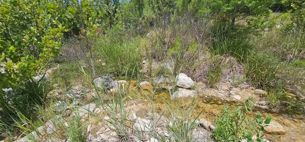 Picture 14