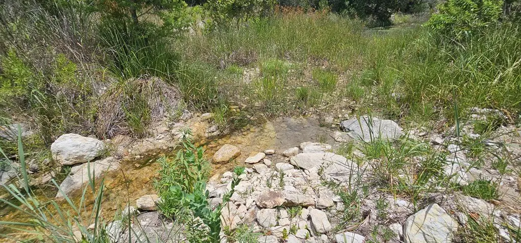 Picture 15