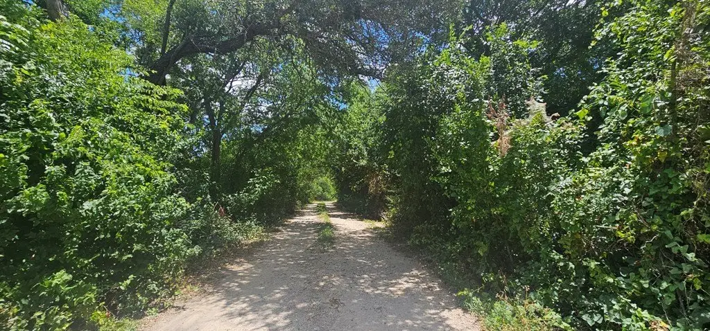 Picture 5