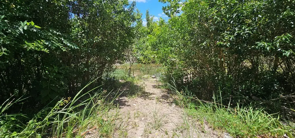 Picture 12