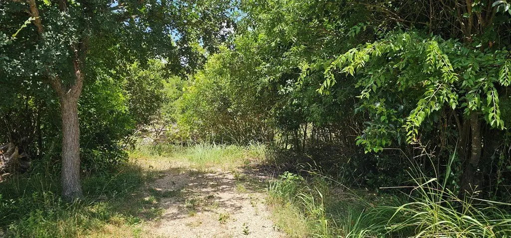 Picture 23