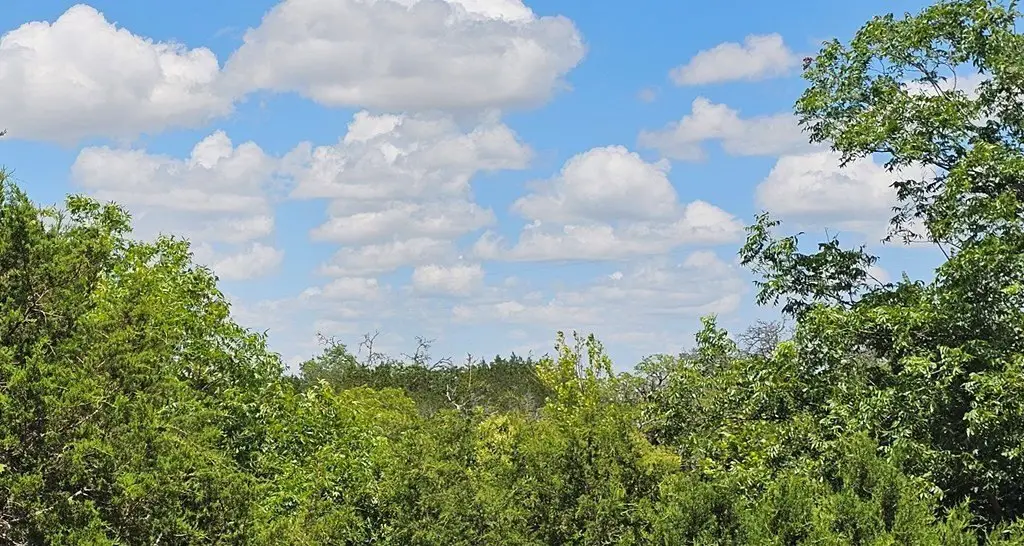 Picture 25