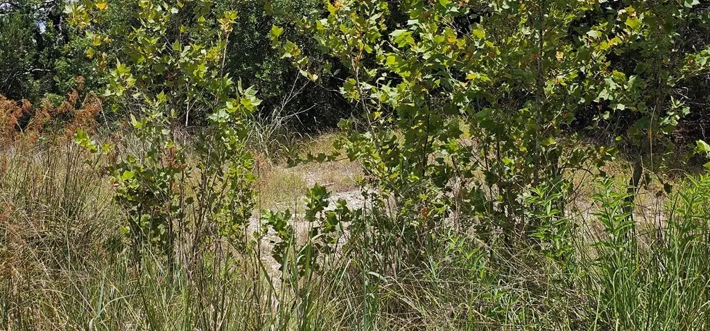 Picture 22