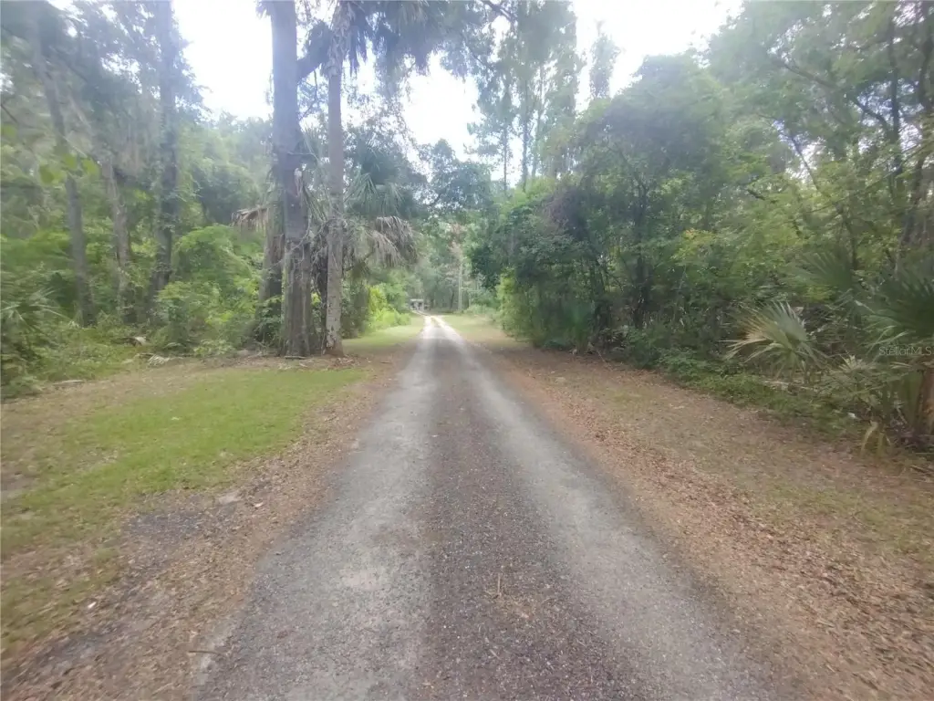 Picture 11