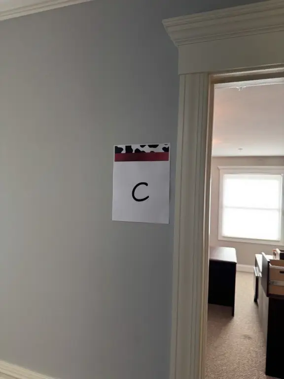 Picture 4