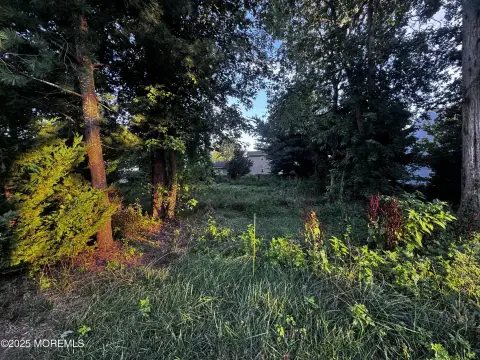 Land in Toms River, NJ