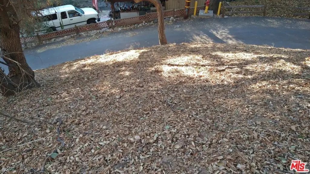 Picture 9