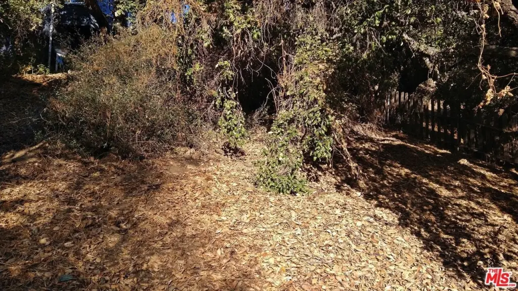 Picture 7