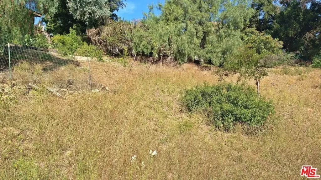 Picture 4
