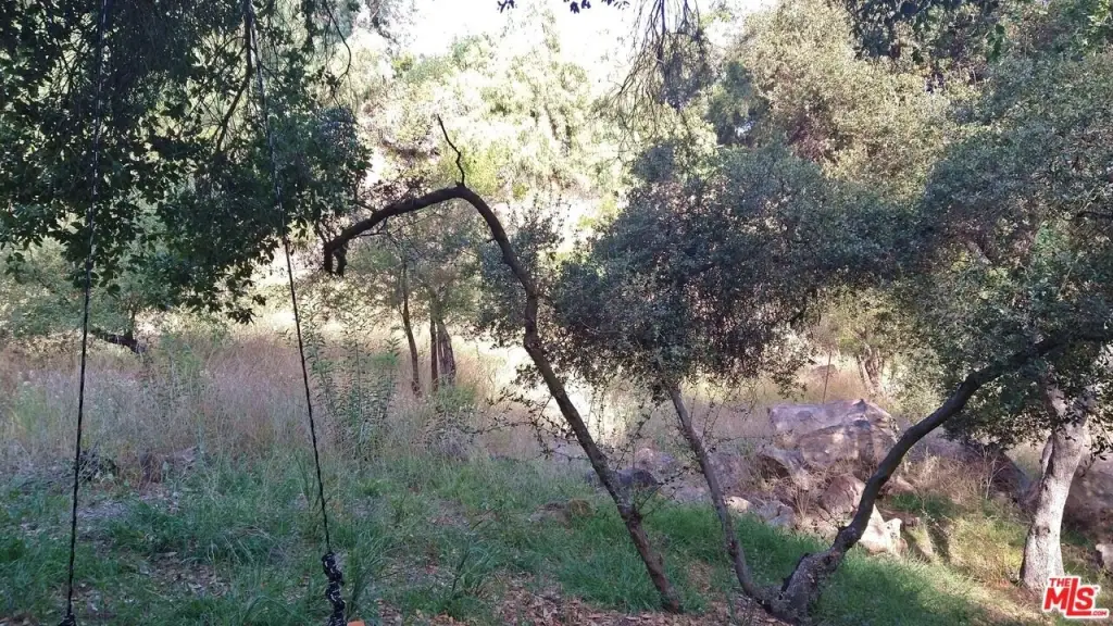 Picture 3