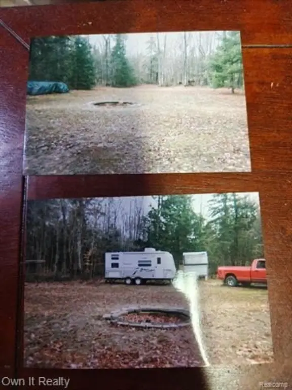Picture 2