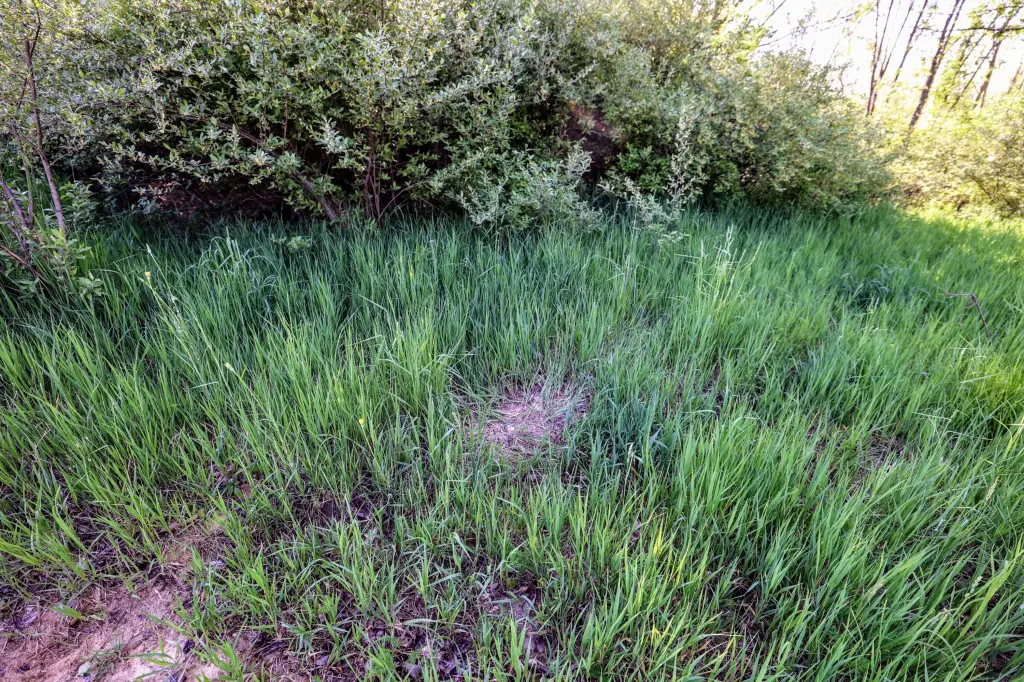 Picture 22