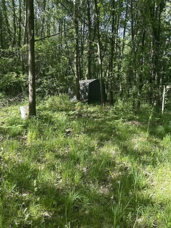 Picture 13
