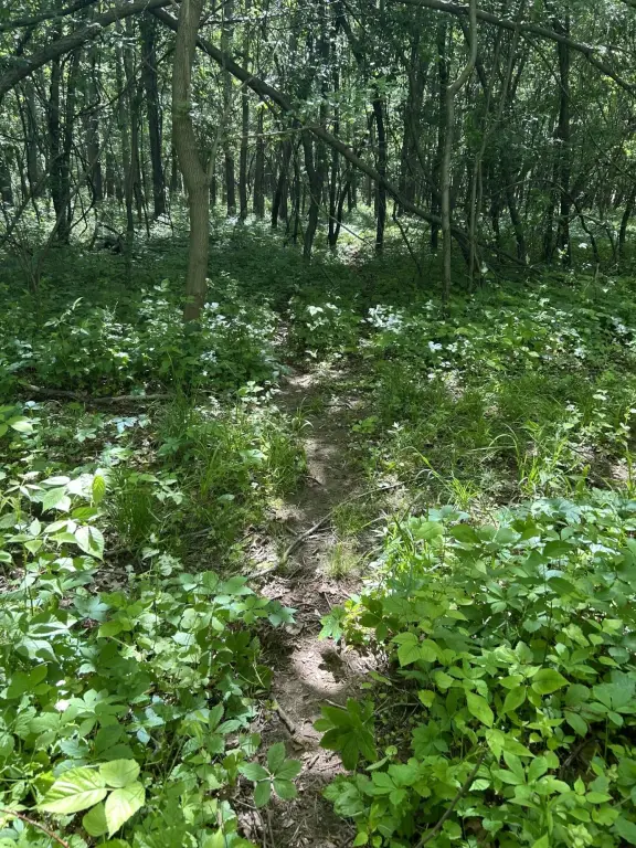 Picture 6
