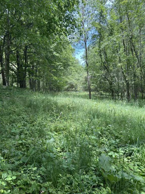 Picture 7