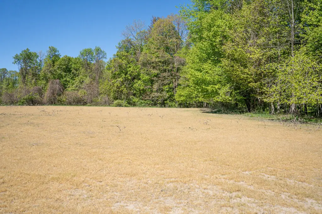 Picture 25