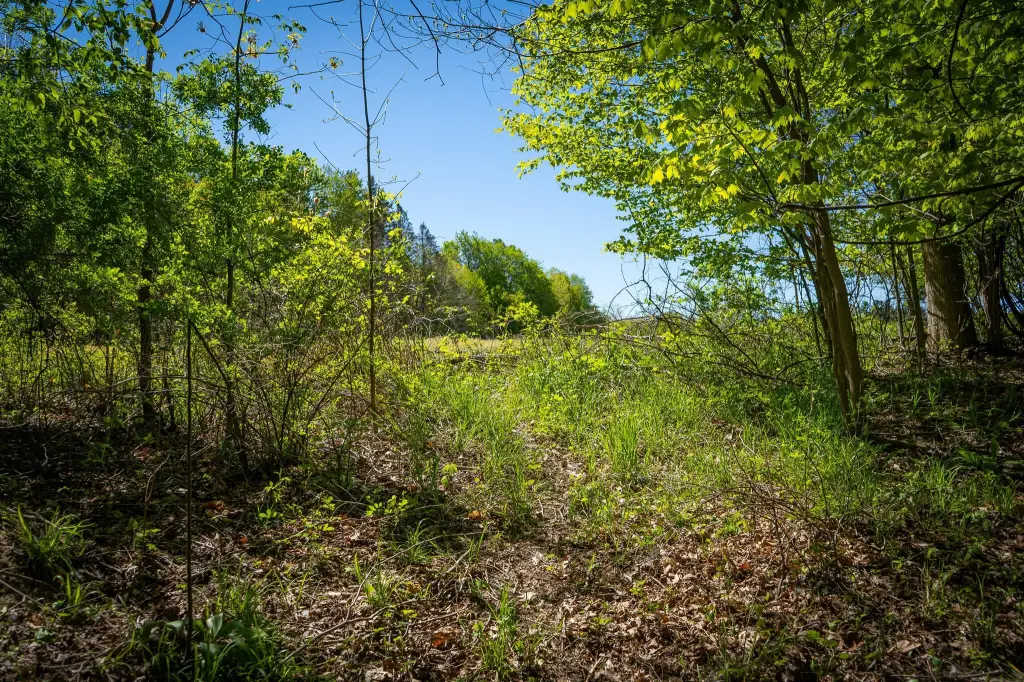 Picture 29