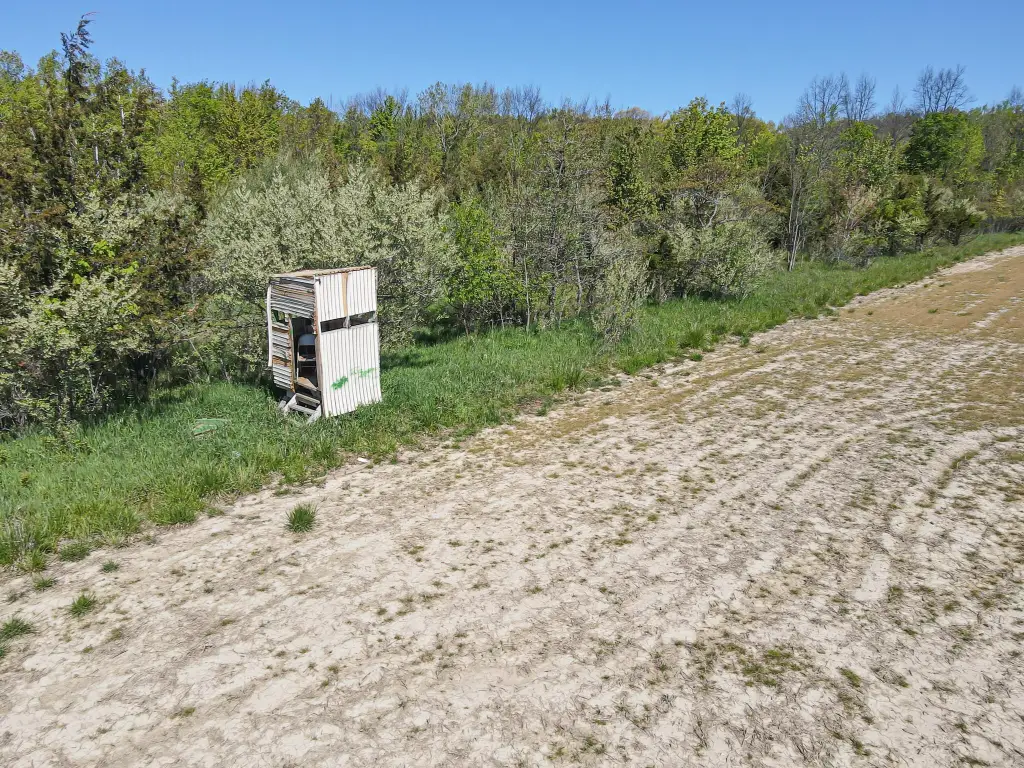 Picture 3