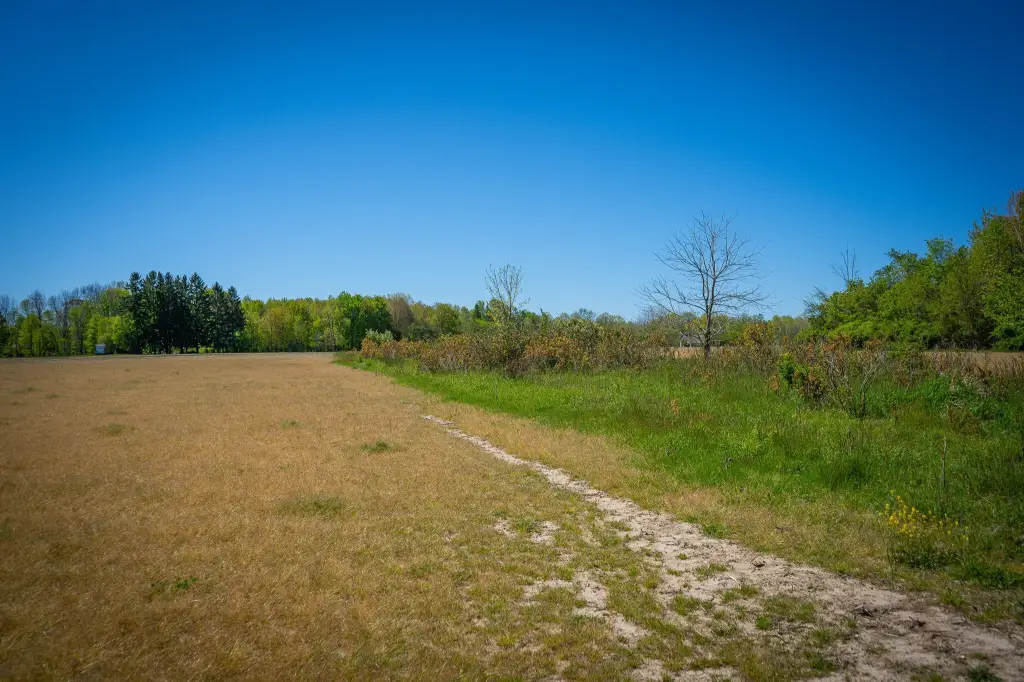 Picture 18