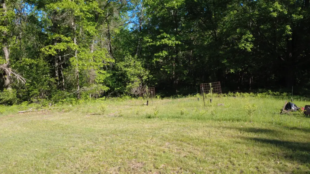Picture 25