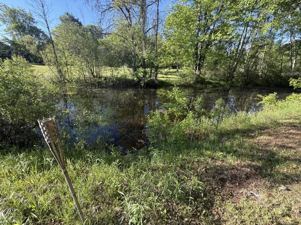 Picture 4