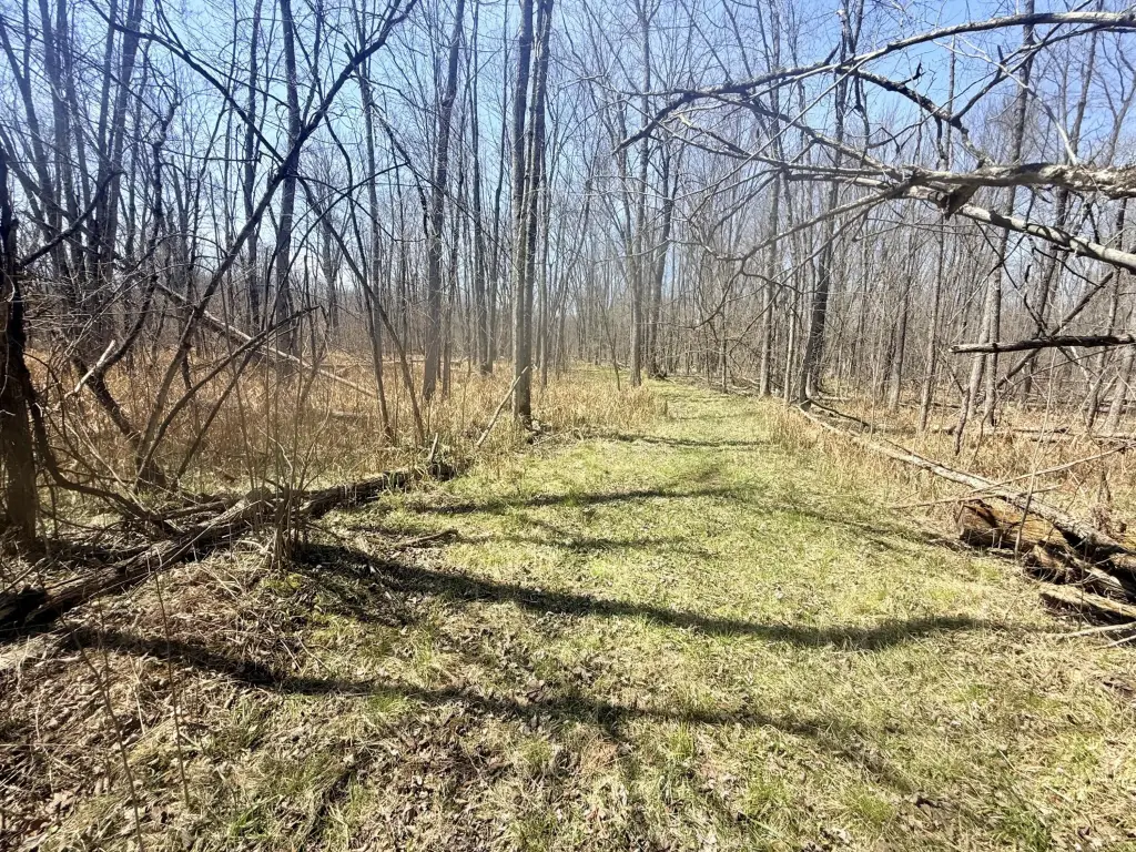 Picture 20